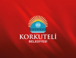 COVID-19 Hakkında Duyuru 13 Haziran 2020 - 1