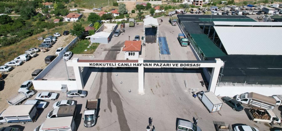 Korkuteli Hayvan Pazarı'nda Kurbanlık Satışları Başladı